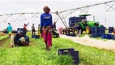 Œuvrer ensemble pour mieux gérer les ressources en eau de l'Afrique